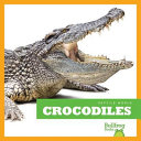 Crocodiles cover
