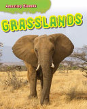 Grasslands cover