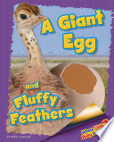 A Giant Egg and Fluffy Feathers cover
