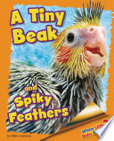 A Tiny Beak and Spiky Feathers cover