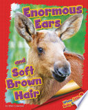 Enormous Ears and Soft Brown Hair cover