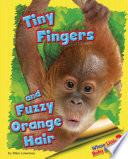 Tiny Fingers and Fuzzy Orange Hair cover