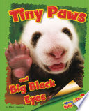 Tiny Paws and Big Black Eyes cover