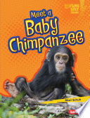 Meet a Baby Chimpanzee cover