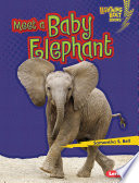 Meet a Baby Elephant cover