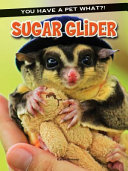 Sugar Glider cover
