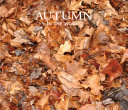 Autumn in the Woods cover