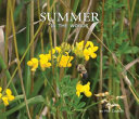 Summer in the Woods cover