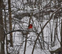 Winter in the Woods cover