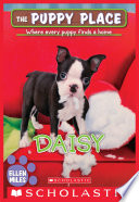 Daisy cover