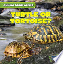 Turtle or Tortoise? cover