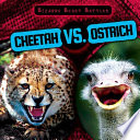 Cheetah vs. Ostrich cover