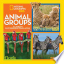 Animal Groups cover