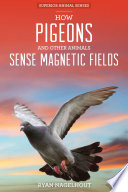 How Pigeons and Other Animals Sense Magnetic Fields cover