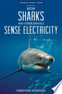 How Sharks and Other Animals Sense Electricity cover