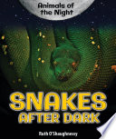 Snakes After Dark cover