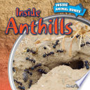 Inside Anthills cover