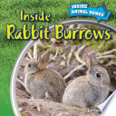 Inside Rabbit Burrows cover