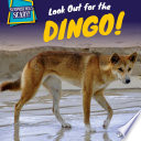 Look Out for the Dingo! cover