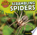 Scrambling Spiders cover
