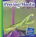 Praying Mantis cover