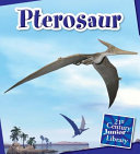 Pterosaur cover