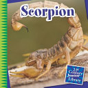 Scorpion cover