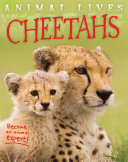 Cheetahs (Quarto Library) cover