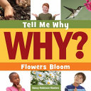 Flowers Bloom cover
