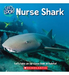 Nurse Sharks cover