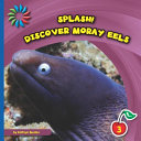 Discover Moray Eels cover