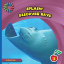 Discover Rays cover