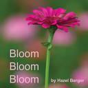 Flower Gardens cover