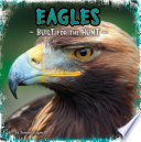 Eagles: Built for the Hunt cover