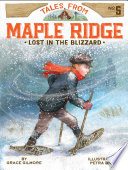 Lost in the Blizzard cover