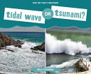 Tidal Wave or Tsunami? cover