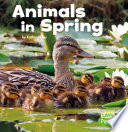 Animals in Spring cover