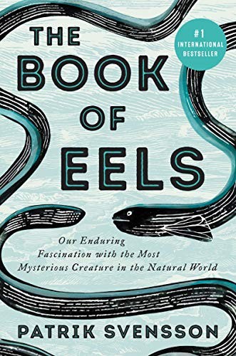 Eels cover