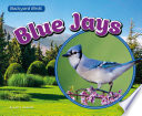 Blue Jays cover