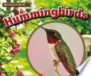 Hummingbirds cover