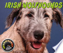 Irish Wolfhounds cover