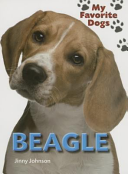 Beagle cover