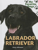 Labrador Retriever cover