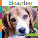 Beagles cover