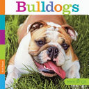 Bulldogs cover