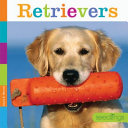Retrievers cover