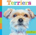 Terriers cover