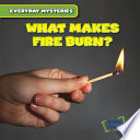 What Makes Fire Burn? cover