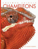 Chameleons cover