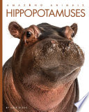 Hippopotamuses cover